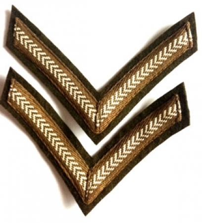 US SLEEVE INSIGNIA